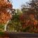 autumn-5704566_1280